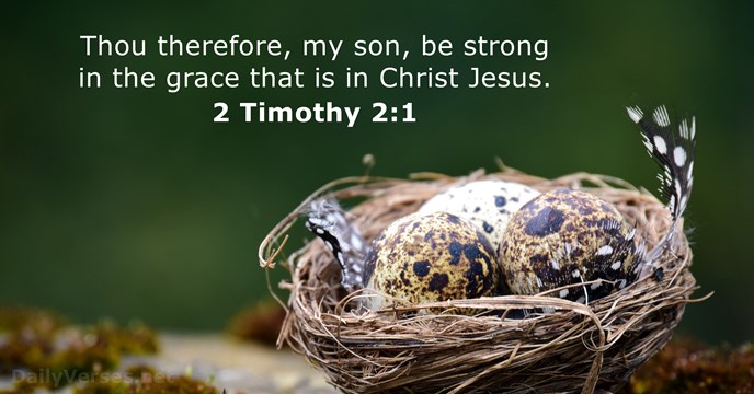 Thou therefore, my son, be strong in the grace that is in Christ Jesus. 2 Timothy 2:1