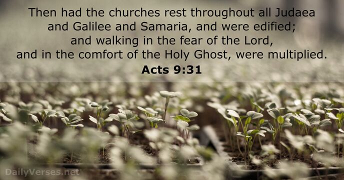 Then had the churches rest throughout all Judaea and Galilee and Samaria… Acts 9:31