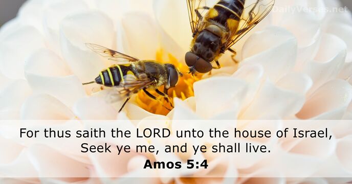 For thus saith the LORD unto the house of Israel, Seek ye… Amos 5:4