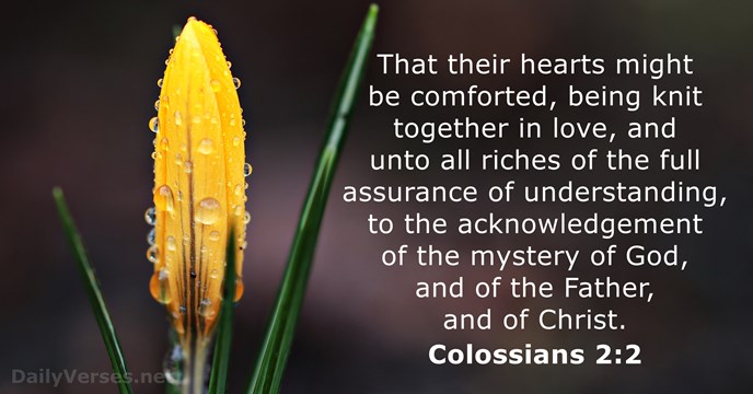 That their hearts might be comforted, being knit together in love, and… Colossians 2:2