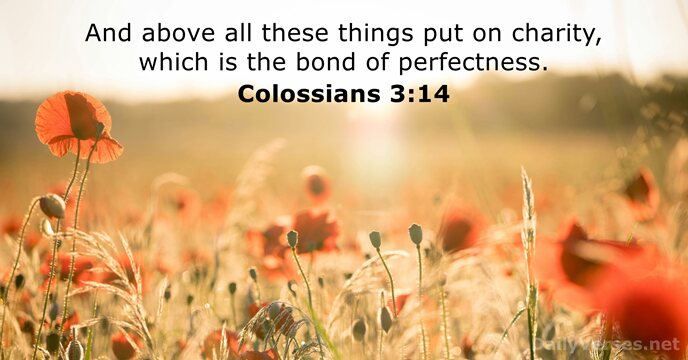 And above all these things put on charity, which is the bond of perfectness. Colossians 3:14