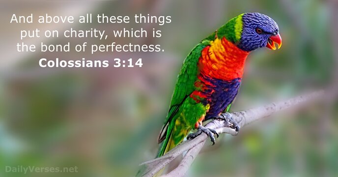 And above all these things put on charity, which is the bond of perfectness. Colossians 3:14