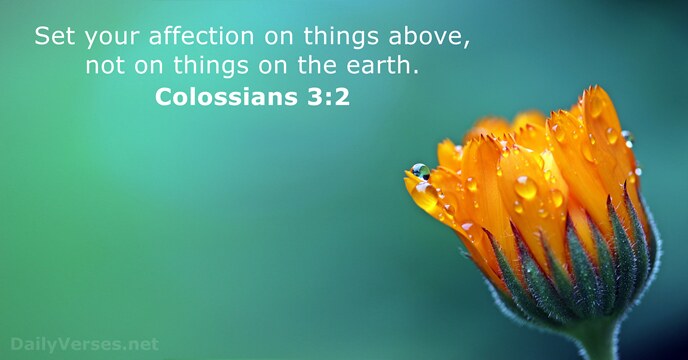 Set your affection on things above, not on things on the earth. Colossians 3:2