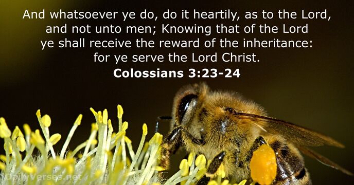 Colossians 3:23-24