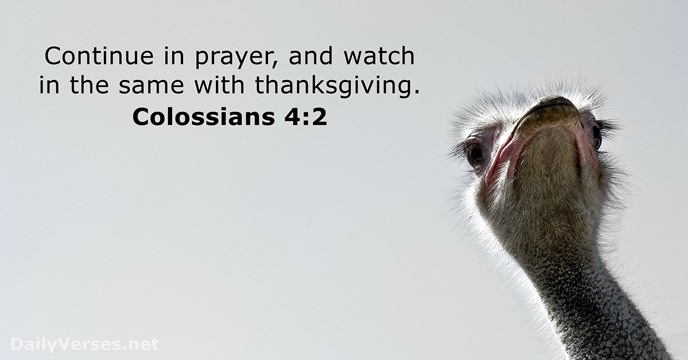 Continue in prayer, and watch in the same with thanksgiving. Colossians 4:2