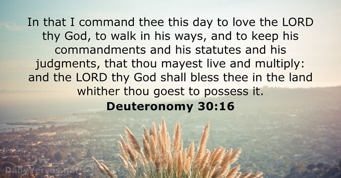 In that I command thee this day to love the LORD thy… Deuteronomy 30:16