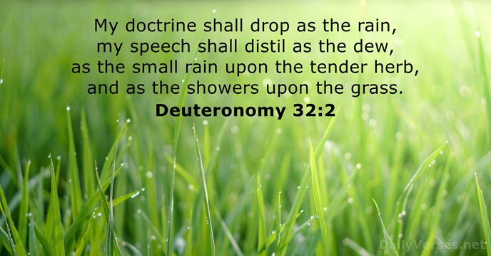 My doctrine shall drop as the rain, my speech shall distil as… Deuteronomy 32:2