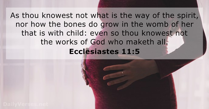 Ecclesiastes 11:5