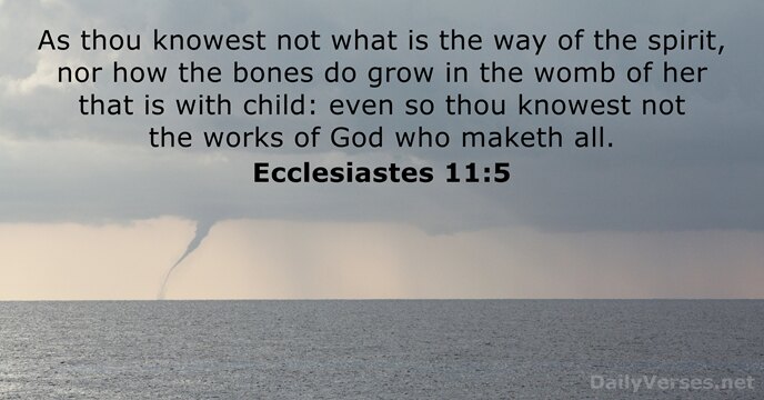 As thou knowest not what is the way of the spirit, nor… Ecclesiastes 11:5