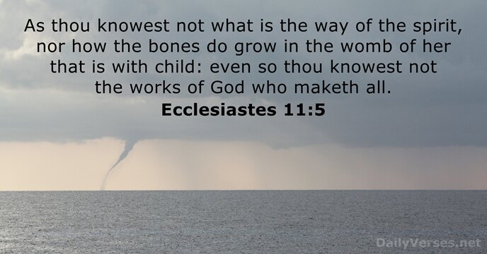 Ecclesiastes 11:5