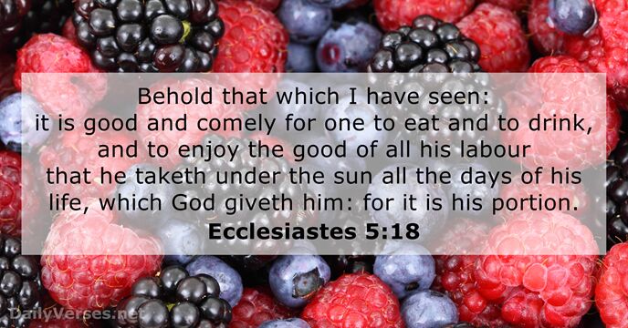 Behold that which I have seen: it is good and comely for… Ecclesiastes 5:18