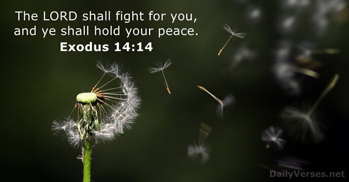 The LORD shall fight for you, and ye shall hold your peace. Exodus 14:14