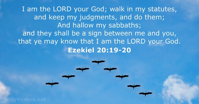 I am the LORD your God; walk in my statutes, and keep… Ezekiel 20:19-20