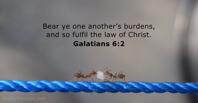 Bear ye one another's burdens, and so fulfil the law of Christ. Galatians 6:2