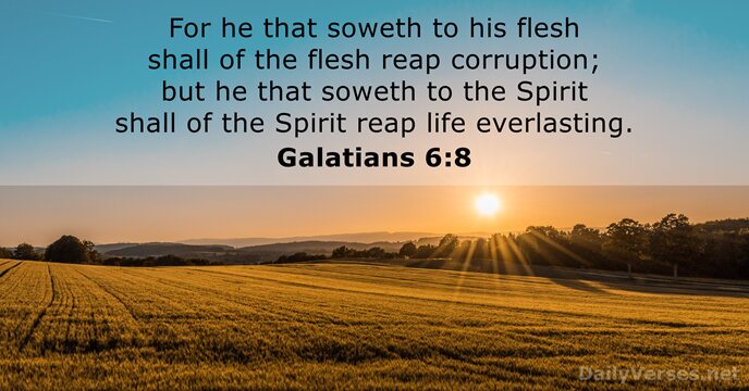 For he that soweth to his flesh shall of the flesh reap… Galatians 6:8