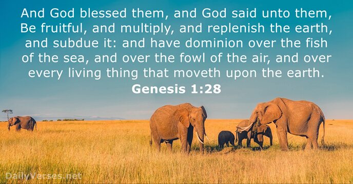 And God blessed them, and God said unto them, Be fruitful, and… Genesis 1:28