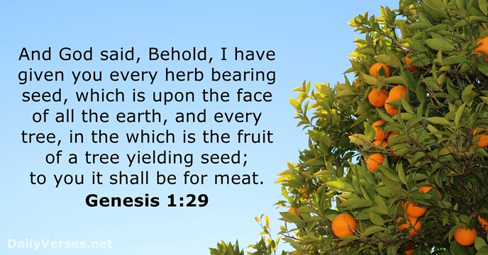 And God said, Behold, I have given you every herb bearing seed… Genesis 1:29