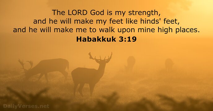 Habakkuk 3:19