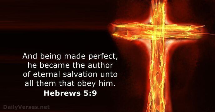 Hebrews 5 9 Bible Verse KJV DailyVerses