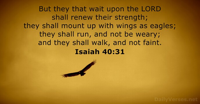 But they that wait upon the LORD shall renew their strength; they… Isaiah 40:31