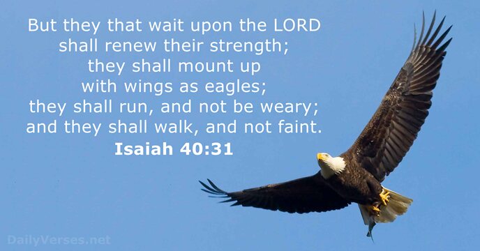 But they that wait upon the LORD shall renew their strength; they… Isaiah 40:31