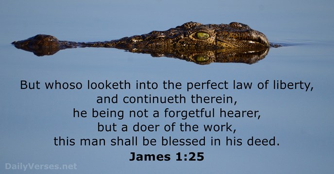 James 1:25