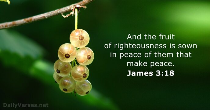 And the fruit of righteousness is sown in peace of them that make peace. James 3:18
