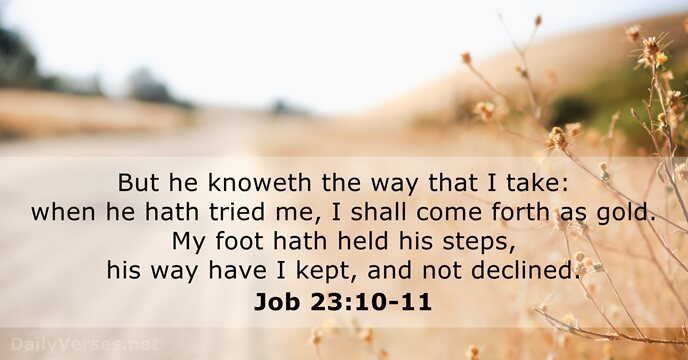 But he knoweth the way that I take: when he hath tried… Job 23:10-11