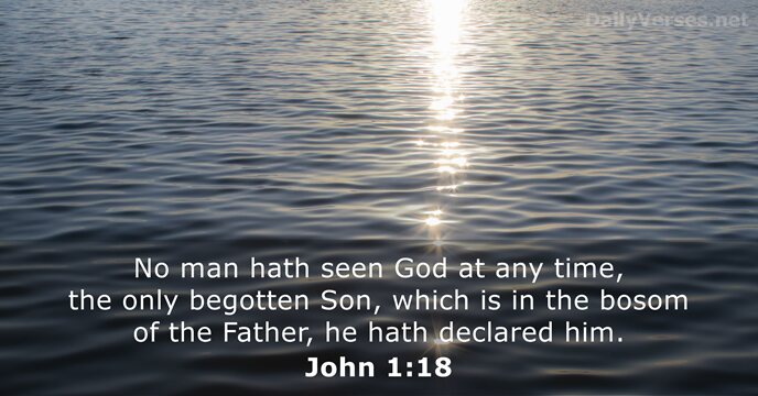 No man hath seen God at any time, the only begotten Son… John 1:18