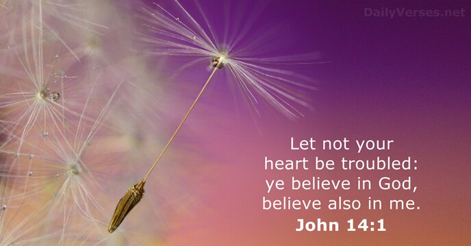 Let not your heart be troubled: ye believe in God, believe also in me. John 14:1