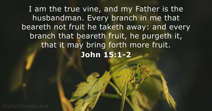 I am the true vine, and my Father is the husbandman. Every… John 15:1-2