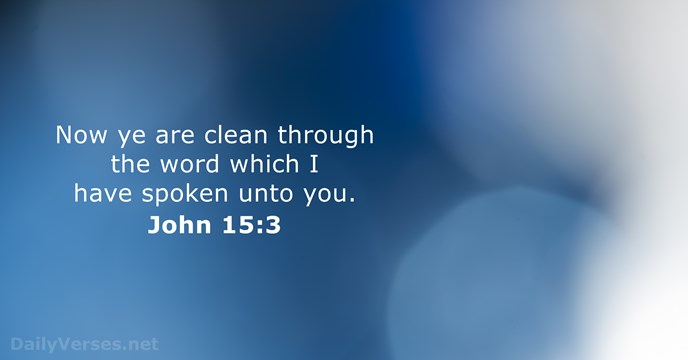 Now ye are clean through the word which I have spoken unto you. John 15:3