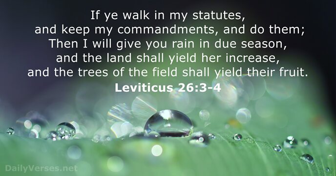 If ye walk in my statutes, and keep my commandments, and do… Leviticus 26:3-4