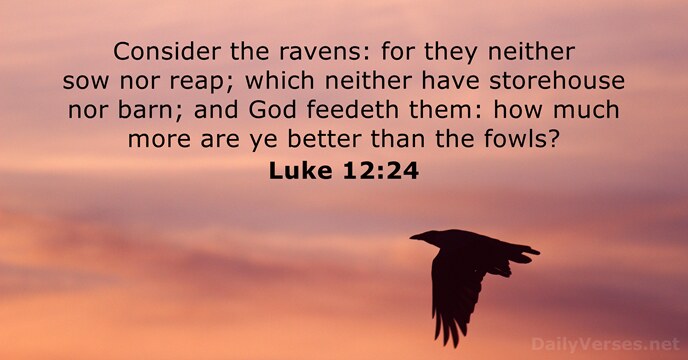Consider the ravens: for they neither sow nor reap; which neither have… Luke 12:24
