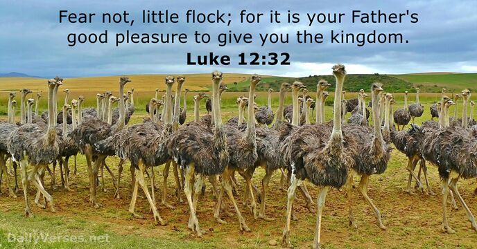 Luke 12:32 - Bible Verse (Kjv) - Dailyverses.net