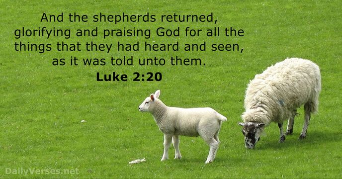 And the shepherds returned, glorifying and praising God for all the things… Luke 2:20