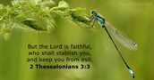 Psalm 33:4 - KJV - Bible verse of the day - DailyVerses.net