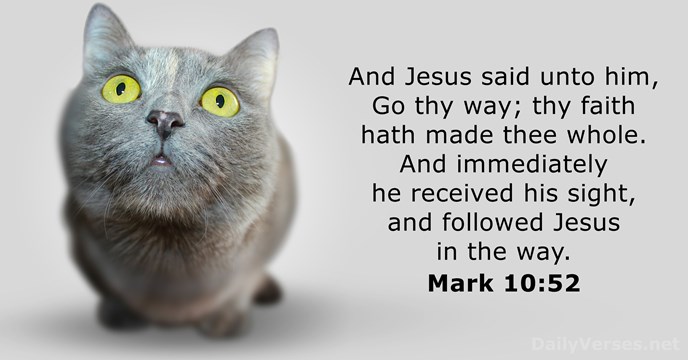 Mark 10:52