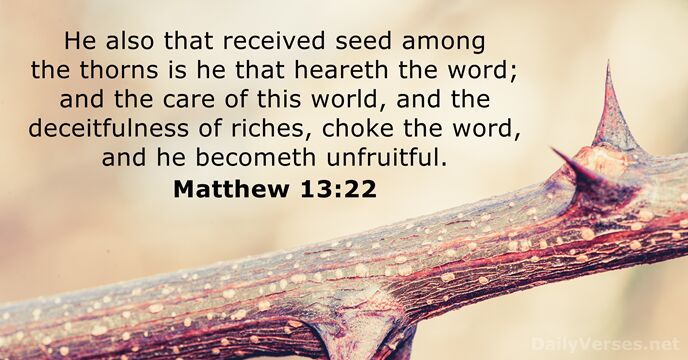 He also that received seed among the thorns is he that heareth… Matthew 13:22