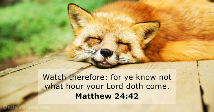 Matthew 24 42 Bible Verse KJV DailyVerses