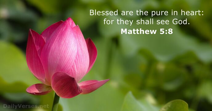 Blessed are the pure in heart: for they shall see God. Matthew 5:8