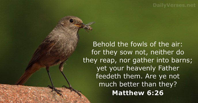 Matthew 6:26