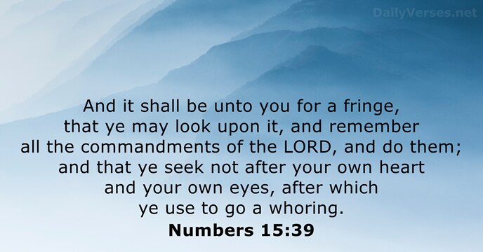 And it shall be unto you for a fringe, that ye may… Numbers 15:39