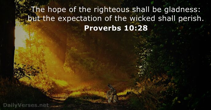 The hope of the righteous shall be gladness: but the expectation of… Proverbs 10:28