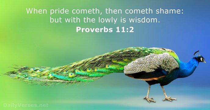 When pride cometh, then cometh shame: but with the lowly is wisdom. Proverbs 11:2