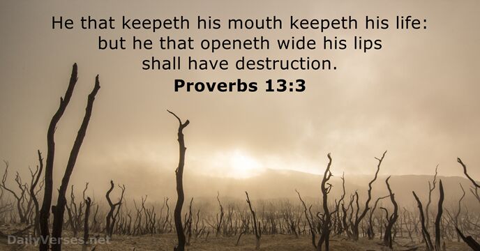 proverbs 13 29 kjv