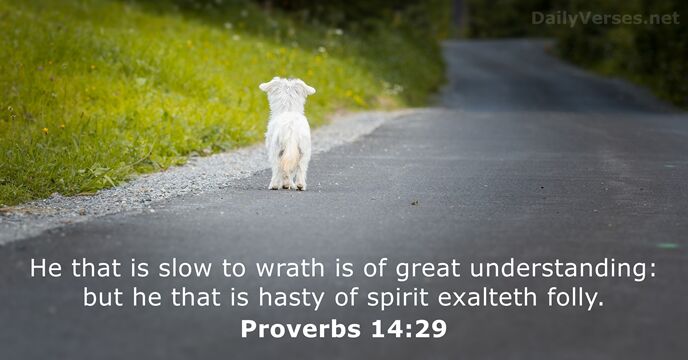 He that is slow to wrath is of great understanding: but he… Proverbs 14:29