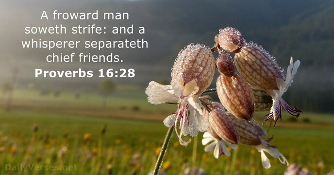 A froward man soweth strife: and a whisperer separateth chief friends. Proverbs 16:28