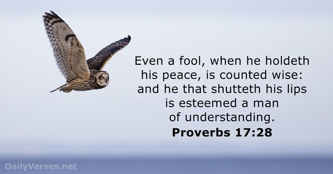 Proverbs 17:28