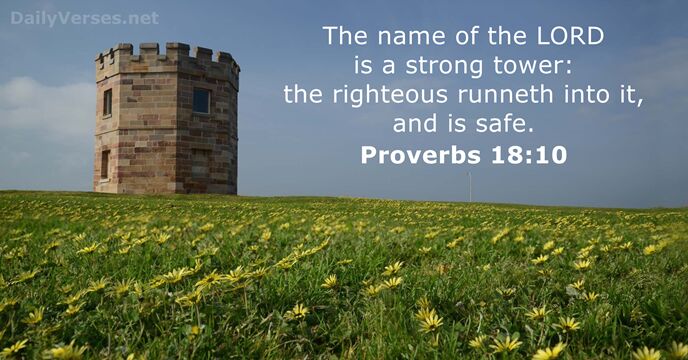 Proverbs 18 10 Bible Verse KJV DailyVerses